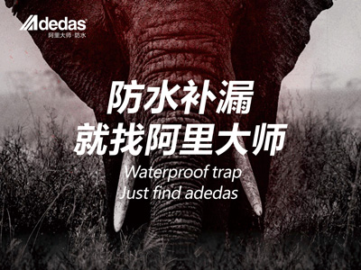 ADEDAS|“阿里大師，大師補漏”——阿里防水品牌名片